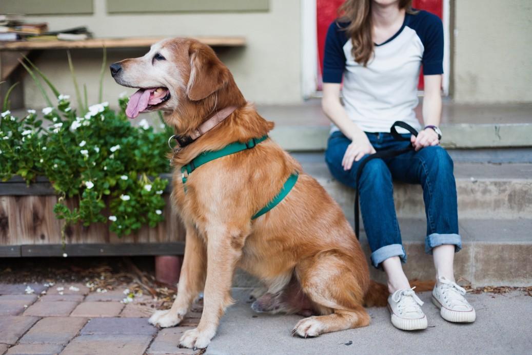 PAWS Animal Shelter The Little Shelter With A Big Heart