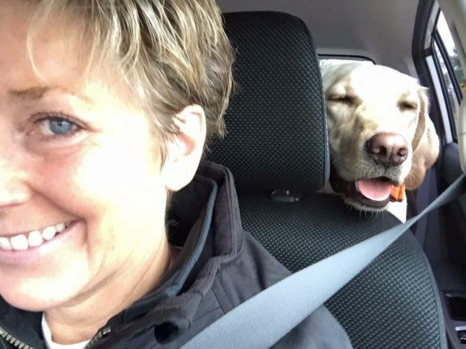 Volunteer With Us PAWS Animal Shelter