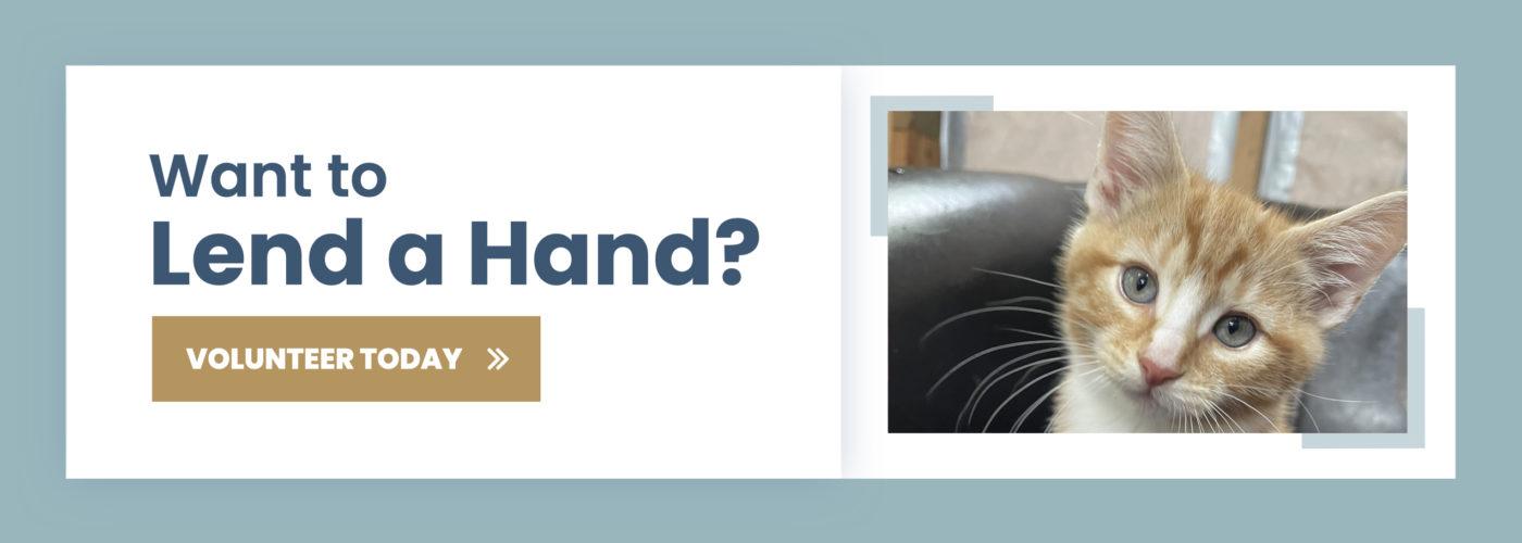 PAWS Animal Shelter The Little Shelter With A Big Heart